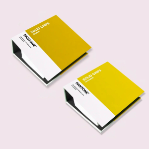 Pantone Solid Chips